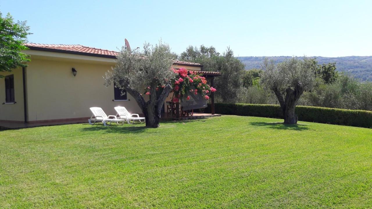 Villa Mimosa Tropea Ricadi Exterior foto