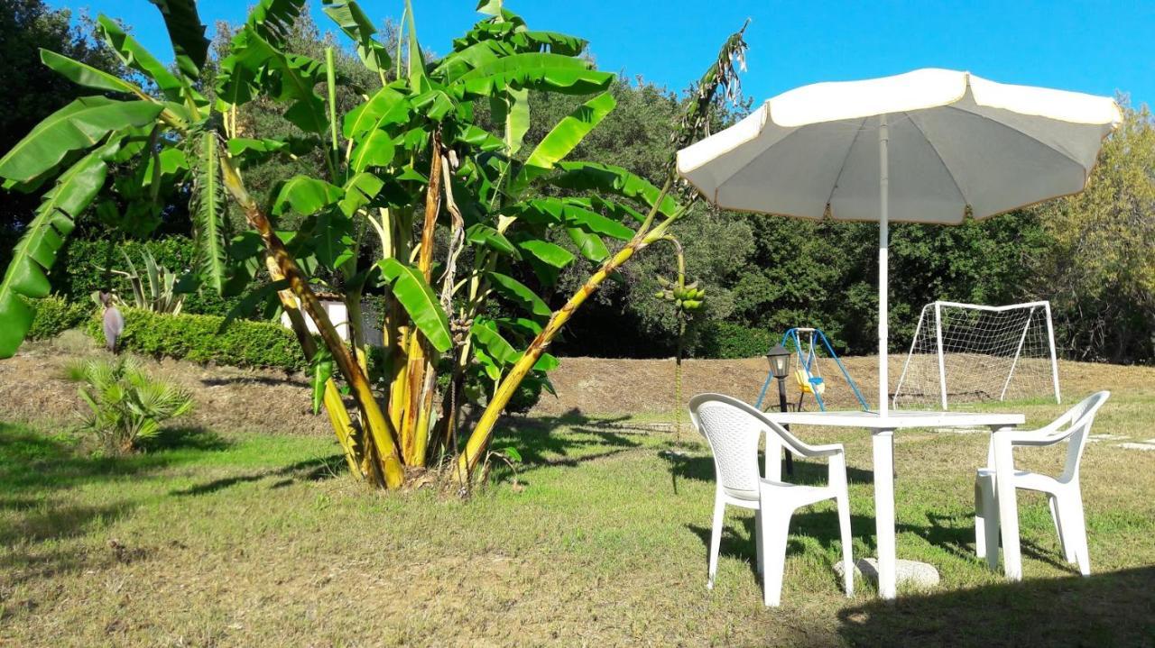 Villa Mimosa Tropea Ricadi Exterior foto