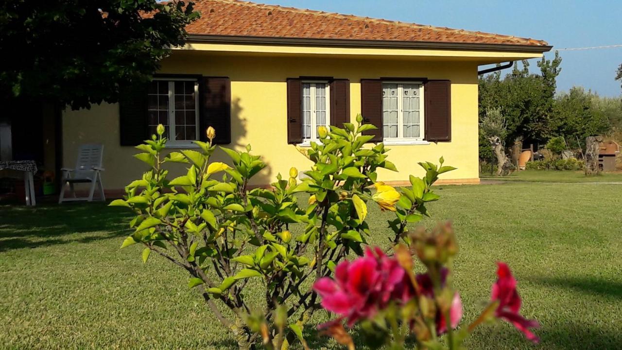 Villa Mimosa Tropea Ricadi Exterior foto
