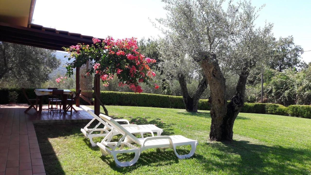 Villa Mimosa Tropea Ricadi Exterior foto