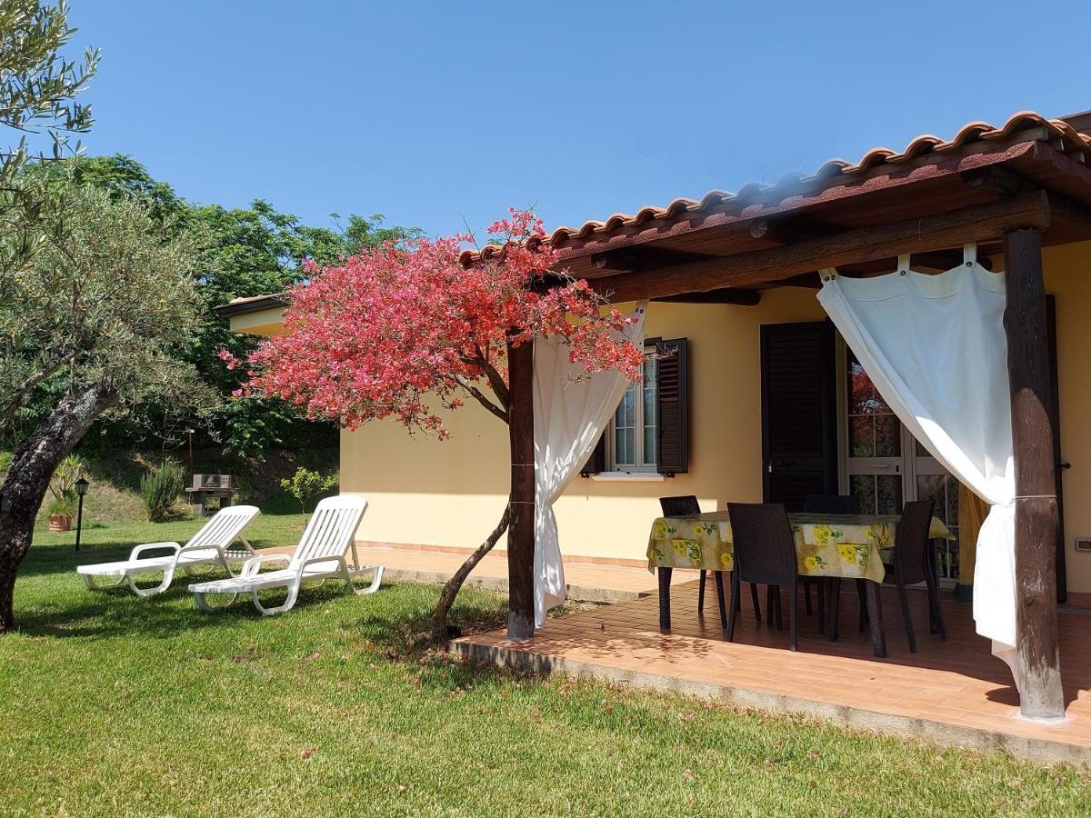Villa Mimosa Tropea Ricadi Exterior foto