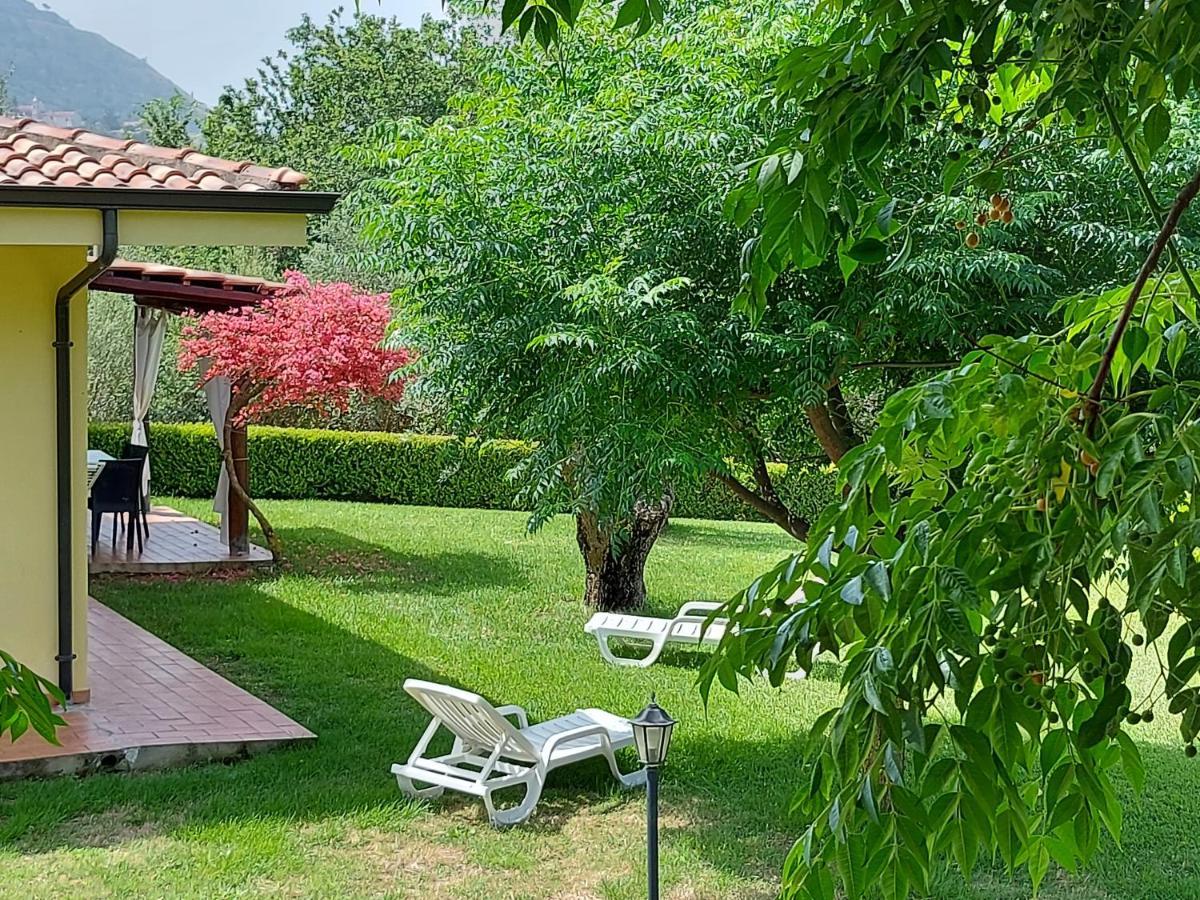 Villa Mimosa Tropea Ricadi Exterior foto