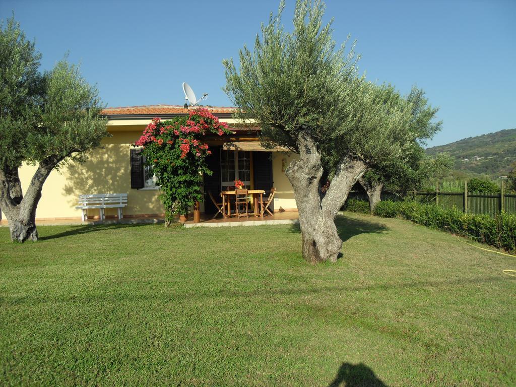 Villa Mimosa Tropea Ricadi Exterior foto
