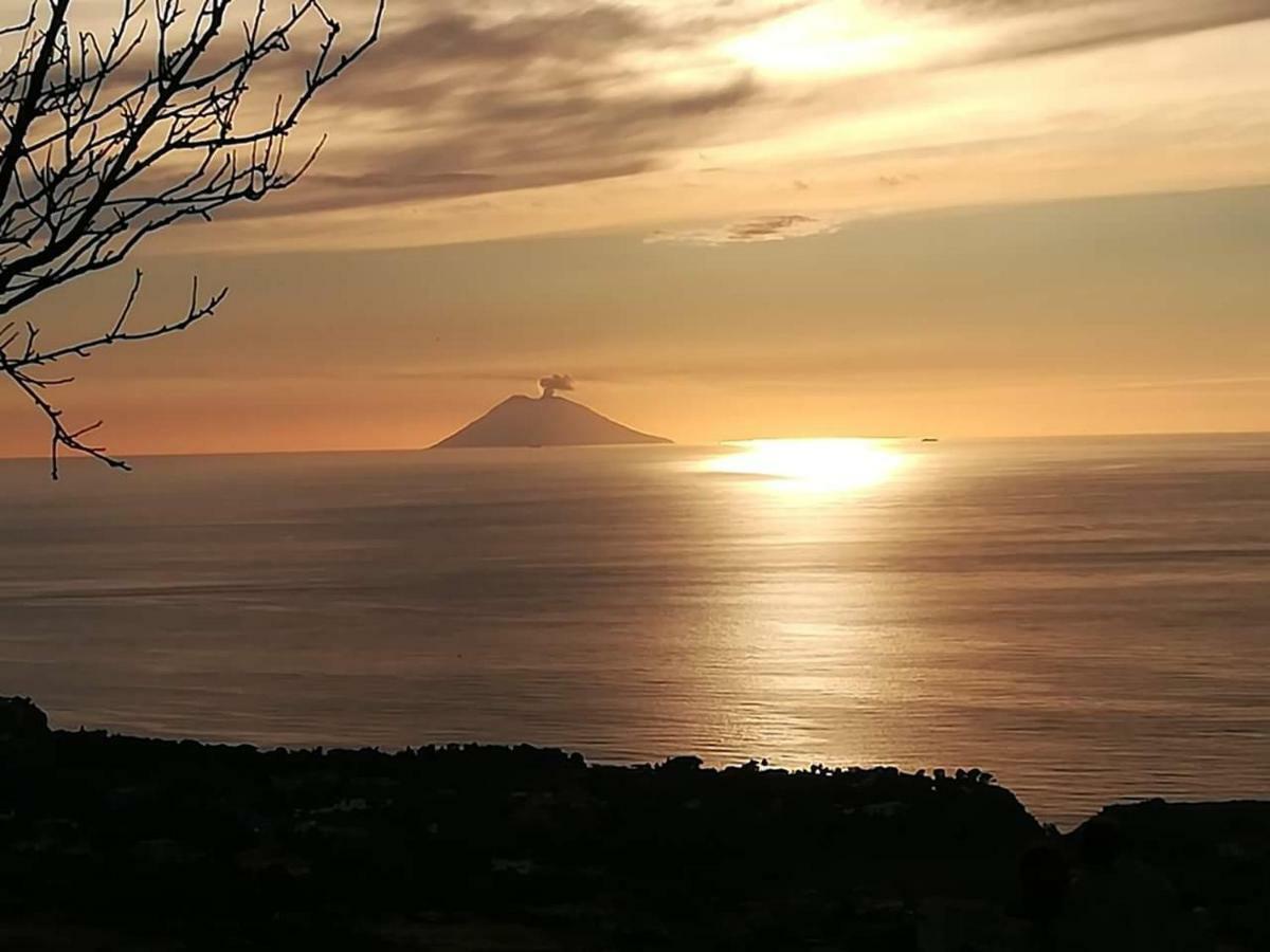 Villa Mimosa Tropea Ricadi Exterior foto